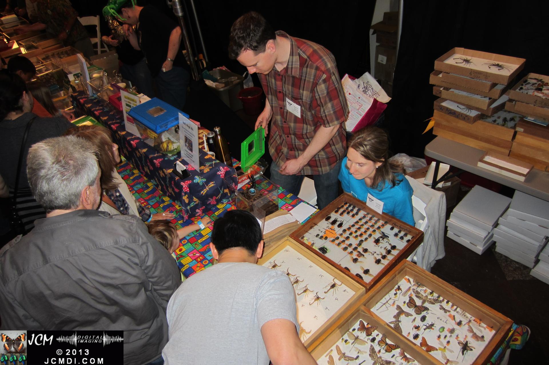 LANHM Bug Fair 2013 crowds and displays